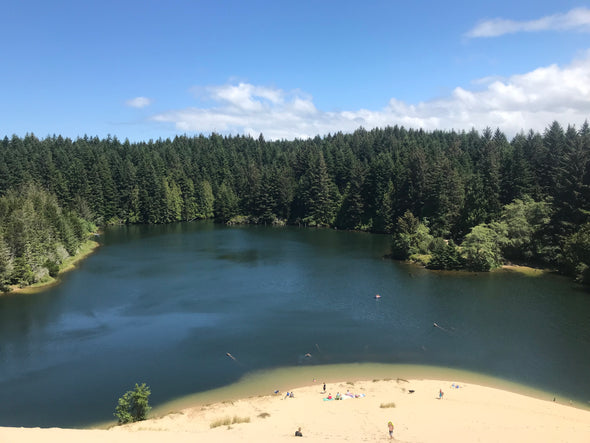 Southern Oregon Coast Road Trip